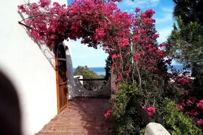 Detached villa Sea view Parking WiFi Terrace Dishwasher and washing machine Dog