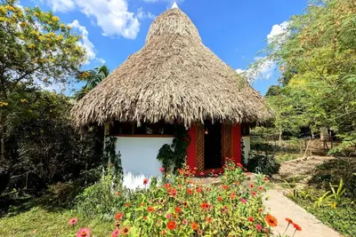 Image de Framadani estate - Jungle luxury