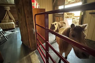 Image de The Stable- at Donkeytown, barndominium on a 40 acre guest ranch