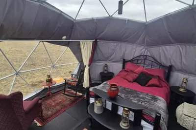 Image de The Cactus Berry Dome