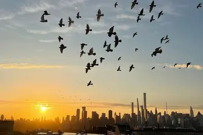 Image de New York Skyline One of a Kind View