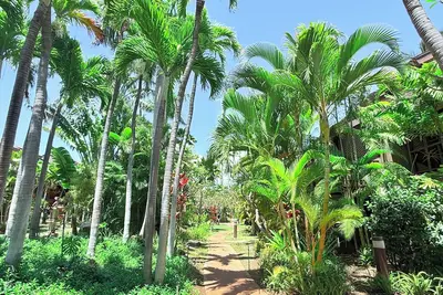 Image de Family friendly Zen Garden Retreat, Hot Tub, Bbq, King, right across the beach