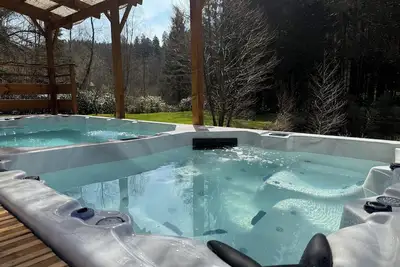 Image de L'écrin de la forêt avec spa de nage