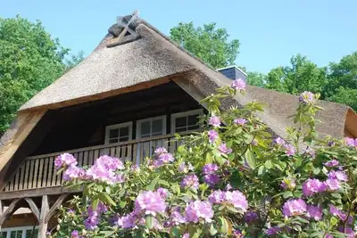 Image de Appartement à l'Eichenpark