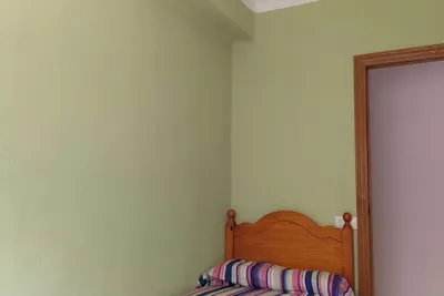 Image de Palmeretes
