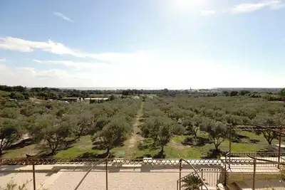 Image de Gîte Lavande - Les Terrasses de l'Oliveraie