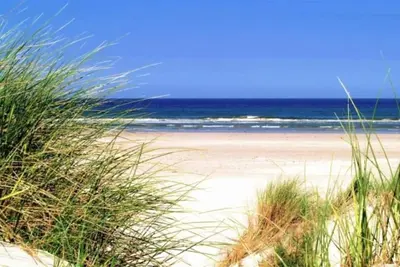 Image de Forest Lodge avec bain à remous