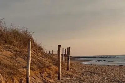 Image de Maison entre dune, foret et océan …