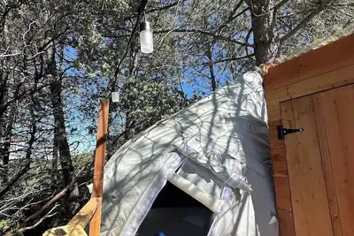 Image de Sky Pod #2/Tree Tent 2