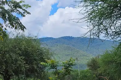 Charming Cottage in Namanga with gorgeous views & birdlife. Pet friendly!