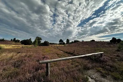 Image de Stylish country idyll in the Südheide. Pure nature!