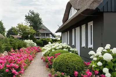 Image de Vacation home \"Pur A4\" in Ahrenshoop