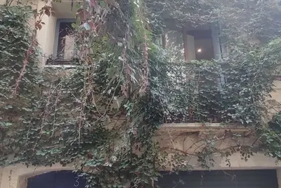 Image de Studio cozy en coeur d'Ecusson à Montpellier, une rue calme, proche de tout
