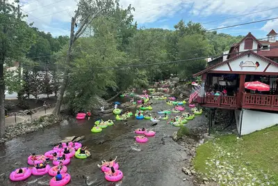 Image de Cozy cabin and fall leaves! Swim, Horses, hiking, lake-3 mi from Helen! Relax!