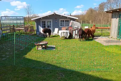 Image de Sonnenscheinhof Alpakas, Alpaka HĂĽtte