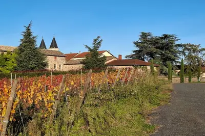 Image de Gîte au calme face aux vignes du Beaujolais.