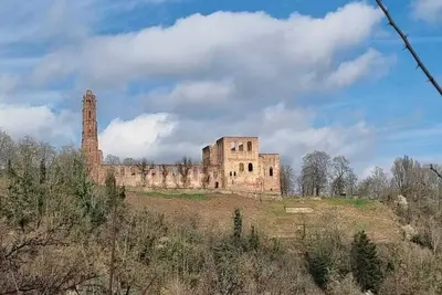 Image de Also for pets - forests and castles in the middle of nature await you 🐕🌳🏰