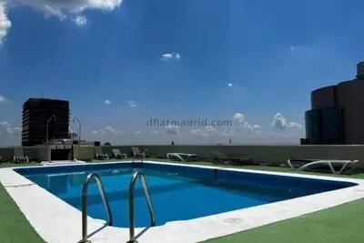 Image de Loft moderne avec piscine sur le toit et vue sur la ville