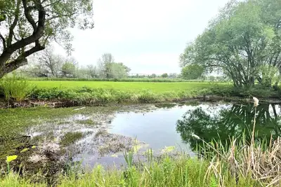 Image de Peaceful pondside lodge-wildlife lover's dream!