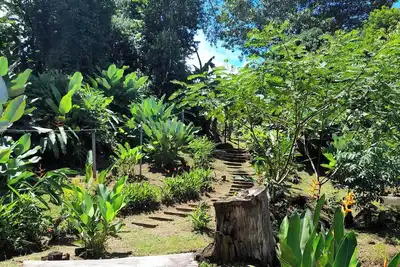 Image de Cozy mini apartment in charming Agujitas Drake Bay with Ac, WiFi