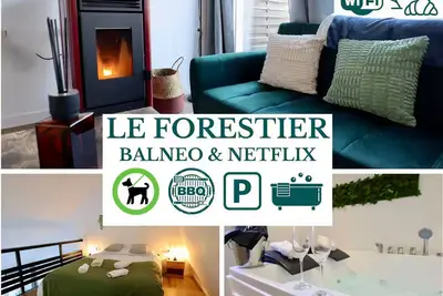 Image de Le Forestier - Romantique Confort Balnéo Bbq Netflix