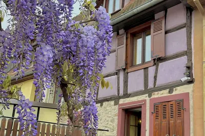 Image de Maison de Charme avec Terrace - Centre Eguisheim