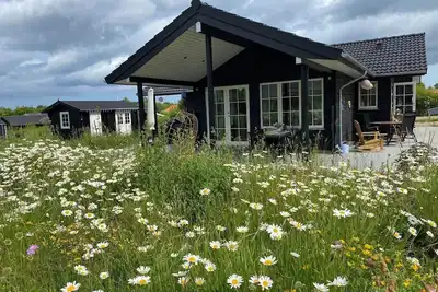 Image de 17716 Hørve - Strandlunden 60