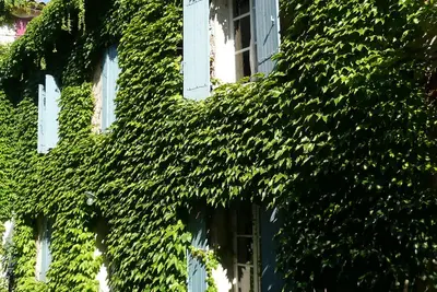 Image de L'autre côté du lavoir