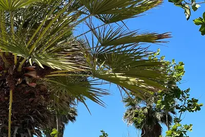 Image de Vista Adriatic Cz