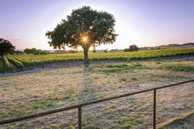 Image de Ranch Lifestyle Tiny Home