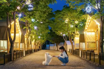 Gapyeong High Mong Glamping & Camping