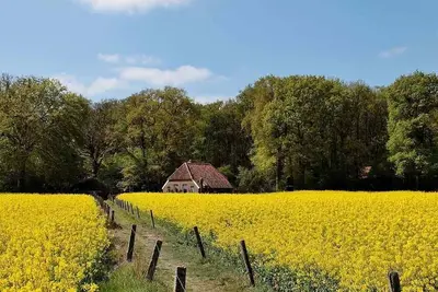 Image de Family-Friendly Room Close to Sallandse Heuvelrug National Park
