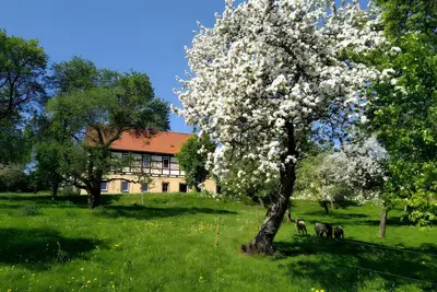 Image de Appartement \"Böhme\" avec vue sur les montagnes, terrasse privée et Wi-Fi