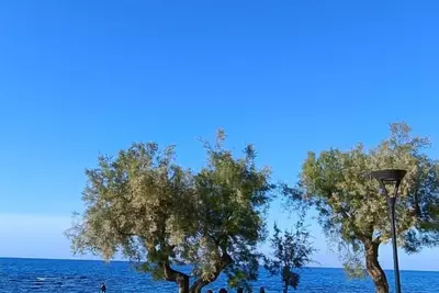 Detached house 20 meters from the sea