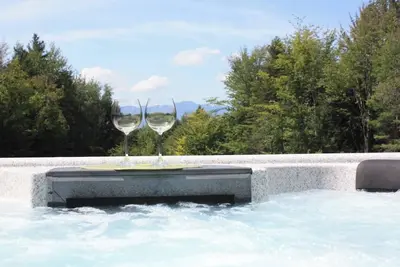 Image de Hot tub and private pond!