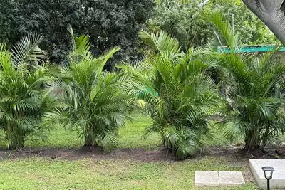 Image de 3-bedroom house in wonderful Safety Harbor with Ac, WiFi