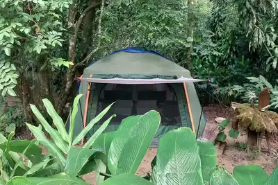 Image de A unique immersion in Nature!