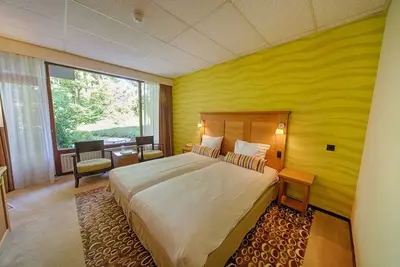Image de Room with Balcony! Indoor Pool, Close to National Park De Sallandse Heuvelrug!