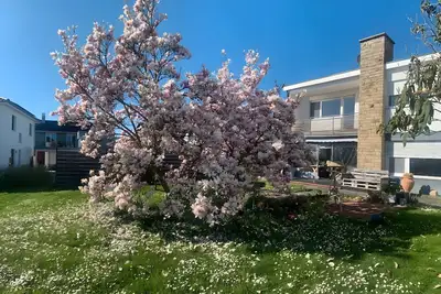 Image de Appartement \"Seestern\" avec jardin partagé, balcon et Wi-Fi