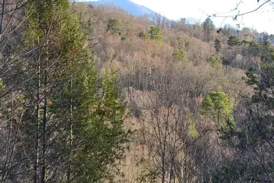 Image de Cozy Cabin 3br Retreat w Spacious Outdoors