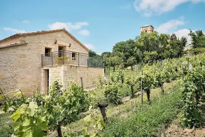 Image de Domaine Baudon, situé au cœur des vignes