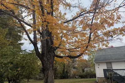 Image de Your groups Bloomington adventure starts here