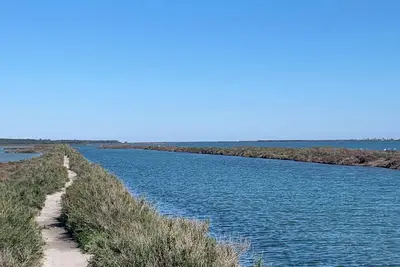 Image de Maison 2 étoiles, La garrigue avec jacuzzi, à 5min des plages.