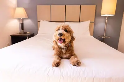 Image de Your Nashville Escape – 3 Rooms with Full Kitchen, Near Local Hotspots & Trails