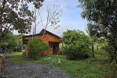 Image de Boca Tapada Rainforest