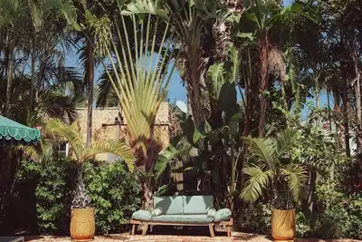 Image de Lemon Loft: Palm Beach-style paradise, shared pool