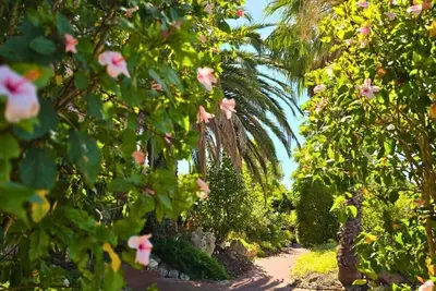 Image de 5 Beach Baby Bungalow for 4 + Free parking