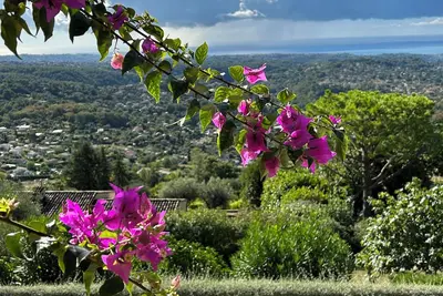 Image de Villa Bougainvilliers