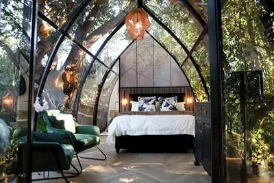 Image de De Nest - Clear glass tree cabin