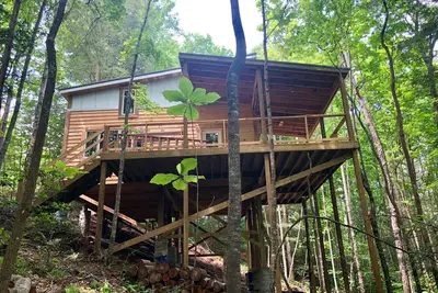 Image de Birdhouse - Enjoy a bird's eye view of the gorge!
